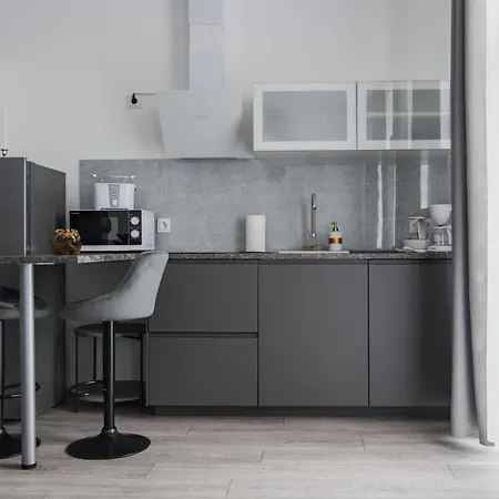 Jaukus Butas-studio Mazvydo Al 公寓 *