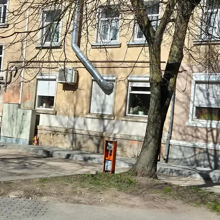 Jaukus Butas-studio Mazvydo Al Apartment *