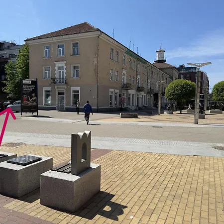 Мazvydo Avenue Studio Кlaipeda City Centre 公寓 克莱佩达