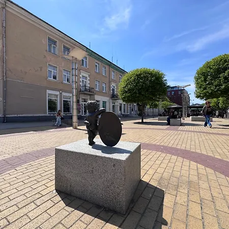 мazvydo Avenue кlaipeda Centre アパート *