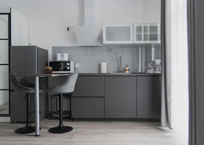 Jaukus Butas-studio Mazvydo Al Apartment *