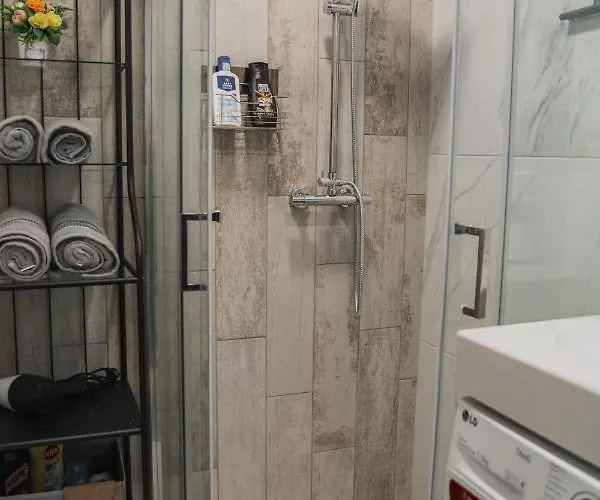 Apartament Jaukus Butas-studio Mazvydo Al