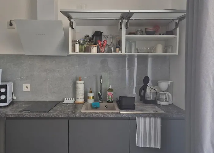 Apartament Jaukus Butas-studio Mazvydo Al