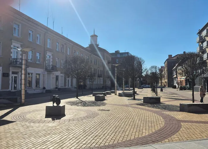 Jaukus Butas-studio Mazvydo Al Apartment Klaipeda