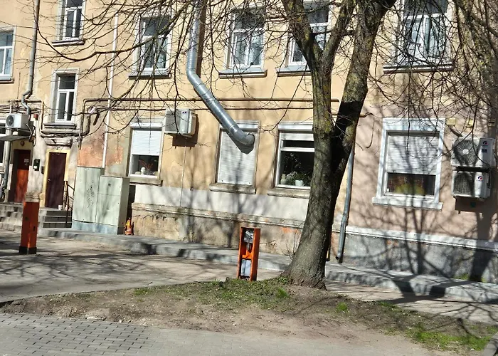 Jaukus Butas-studio Mazvydo Al Apartament *